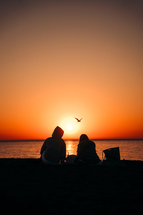 Silhouette of Two People Sitting on the Beach at Sunset 
