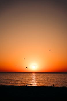 Stunning sunset over the ocean with birds silhouetted against vibrant sky tones.