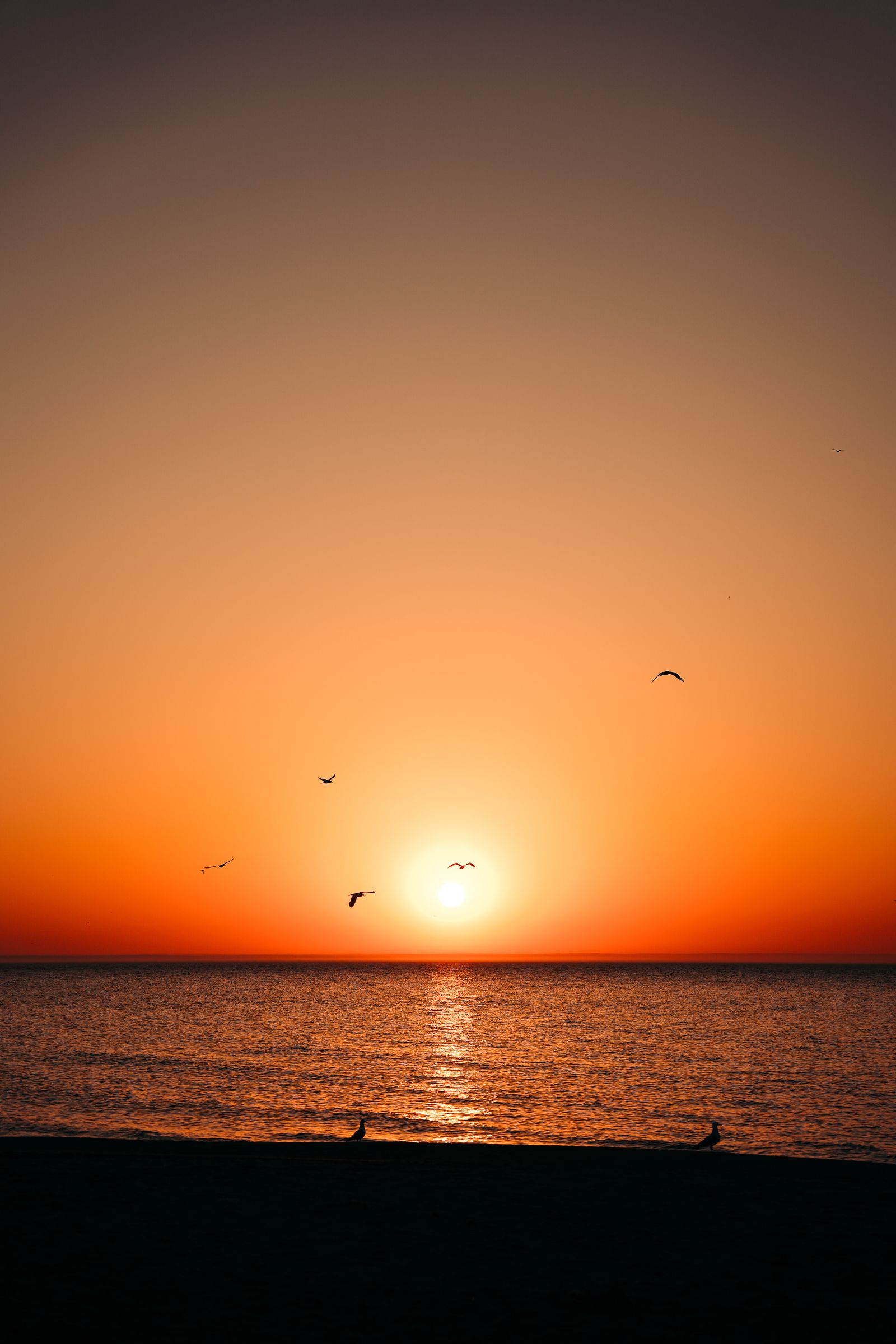 Silhouette of Two People Sitting on the Beach at Sunset · Free Stock Photo