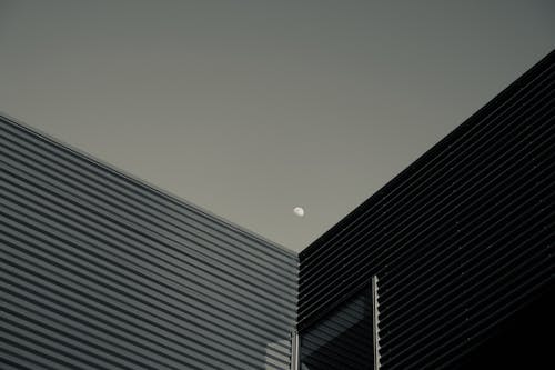 달, 도시의, 로우앵글 샷의 무료 스톡 사진