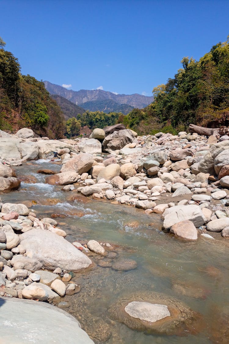 View Of A River Flowing In A Rocky Valley Between Trees 