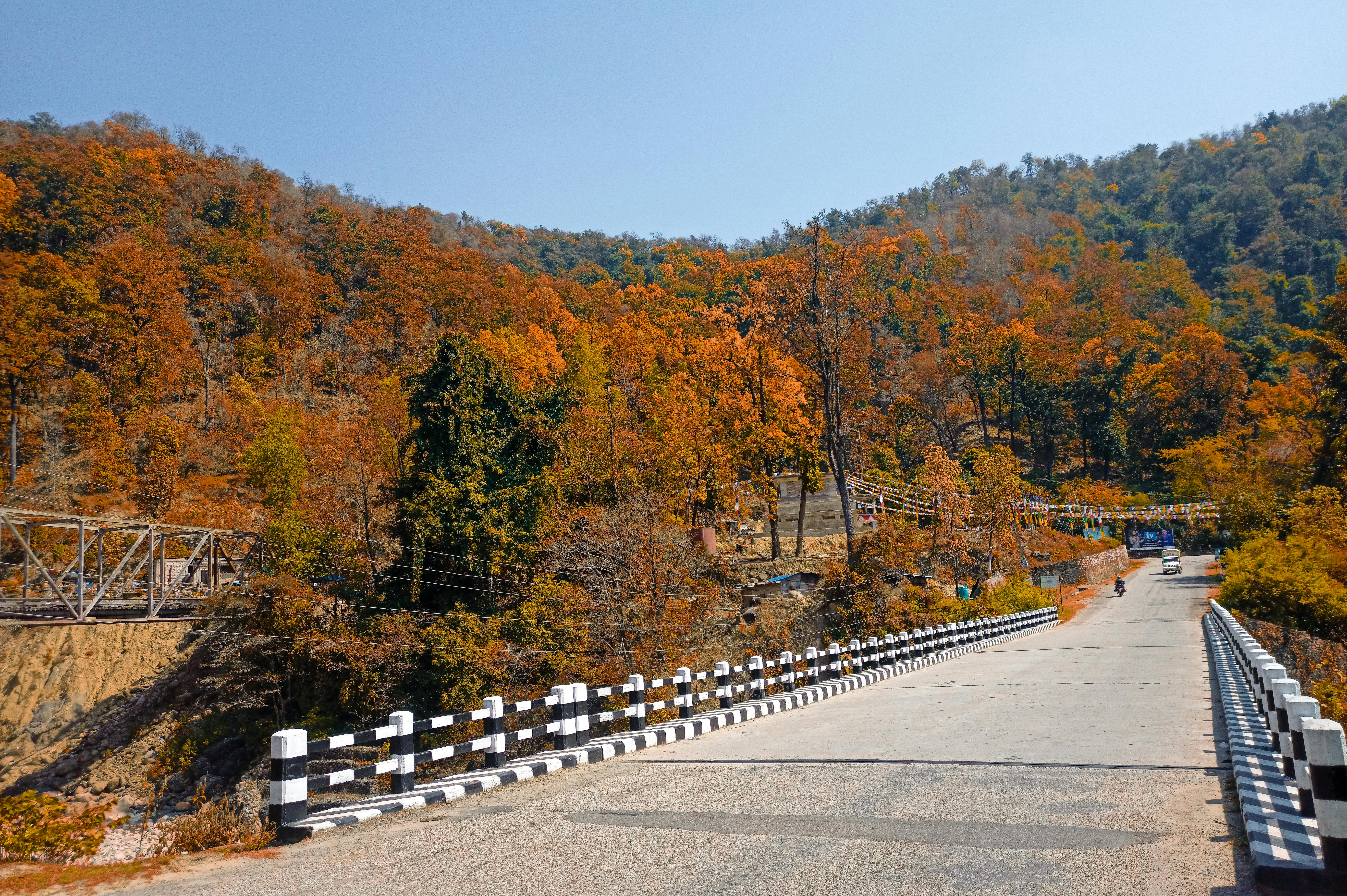 Chasing the Colors: Road Trips to See America’s Best Fall Foliage
