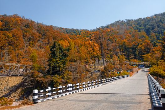 Beautiful bridge surrounded by vibrant autumn foliage in an Indian rural landscape.