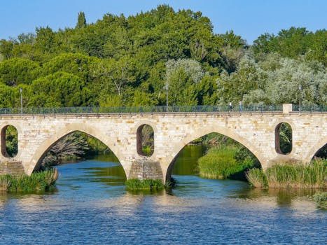 Stone bridge spanning a river in Zamora, Spain, surrounded by lush greenery under a clear sky.