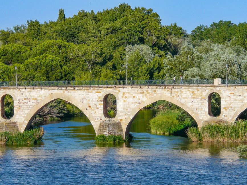 Fotos de Benavente, Zamora, Castilla y León