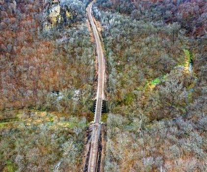 无人机镜头捕捉到铁路轨道穿过明尼苏达州刘易斯顿充满活力的林地