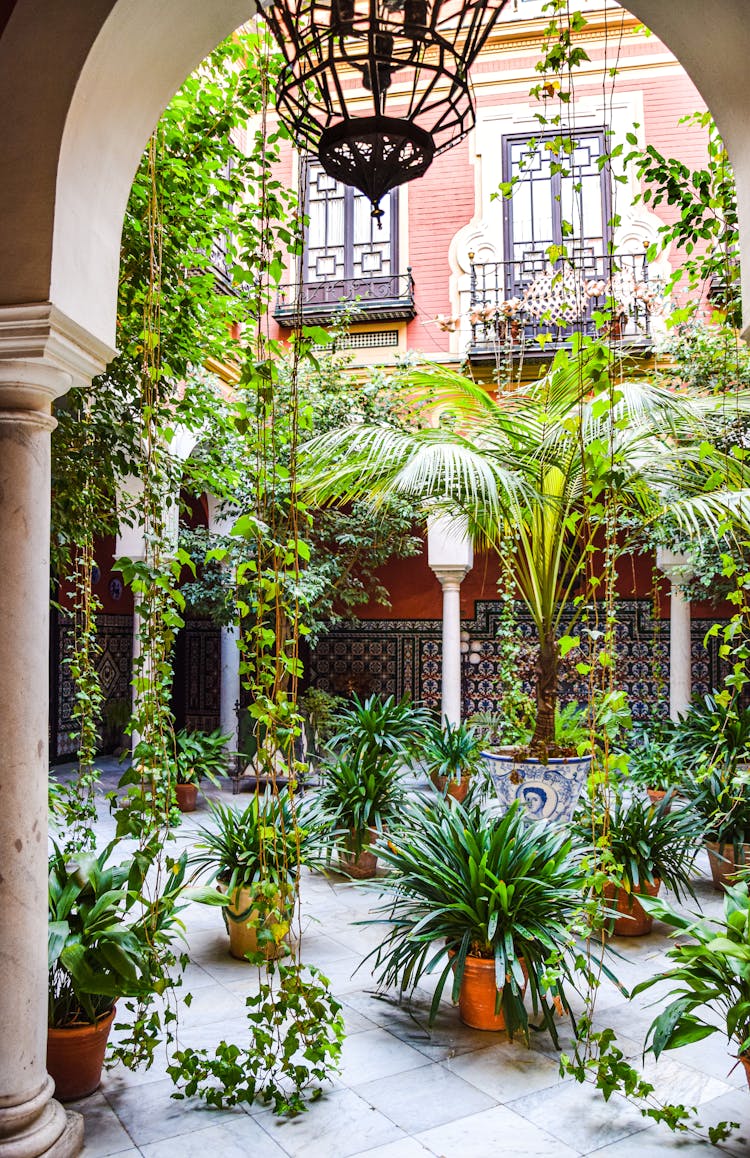 Tropical Plants On A Square 