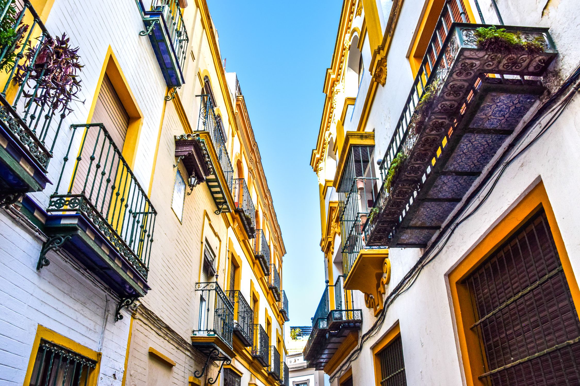 Vibrant, narrow street with colorful buildings and balconies in Seville, Spain
