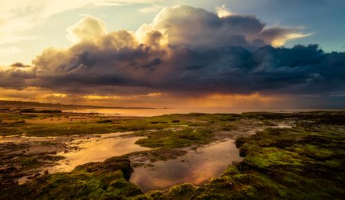 Free A stunning coastal landscape with dramatic storm clouds and vibrant sunset reflecting on mossy rocks. Stock Photo