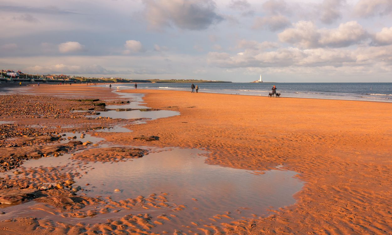 Bay Puddle Puddles on Beach · Free Stock Photo