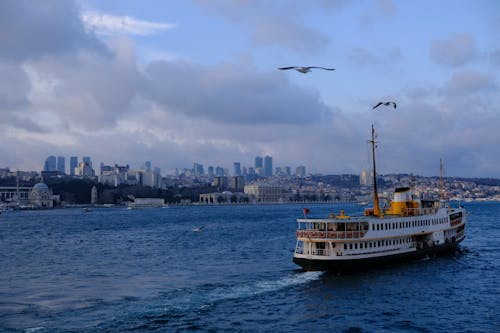 Kostnadsfri bild av bosphorus, byggnader, fåglar