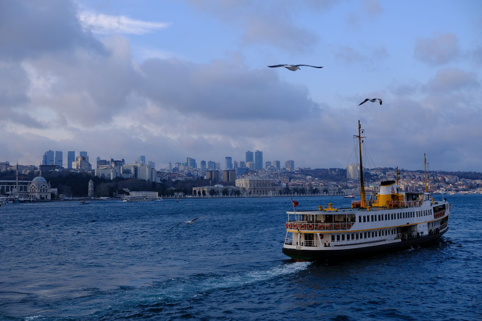 Ferry crossing the Bosphorus with seagulls and the Istanbul skyline, a highlight of 3 days in Istanbul