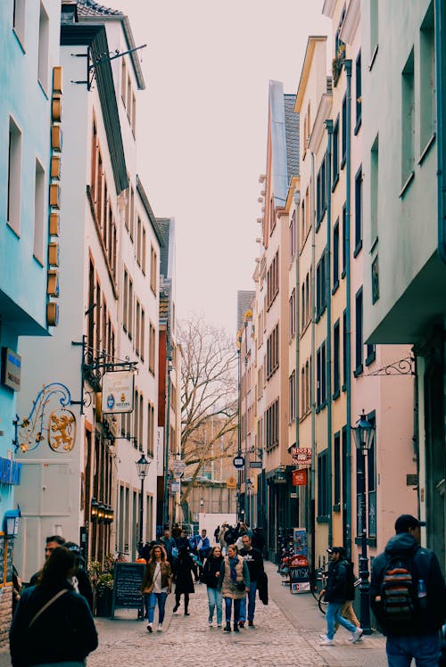 Men in Coats Walking Down Street in Morning · Free Stock Photo