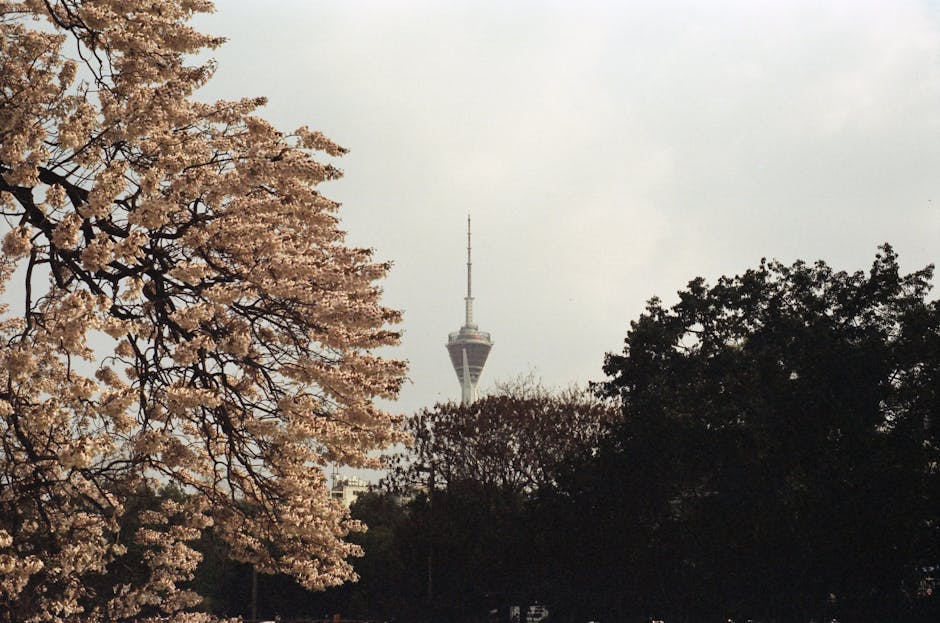 Telecommunication tower framed by blooming trees and greenery under an overcast sky.