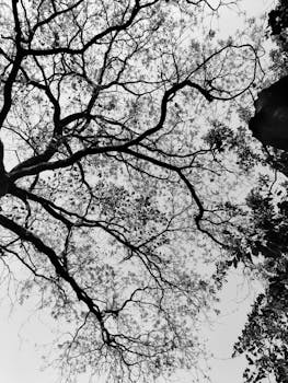 Sahibzada Ajit Singh Nagar