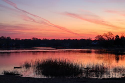 Immagine gratuita di acqua, alberi, lago