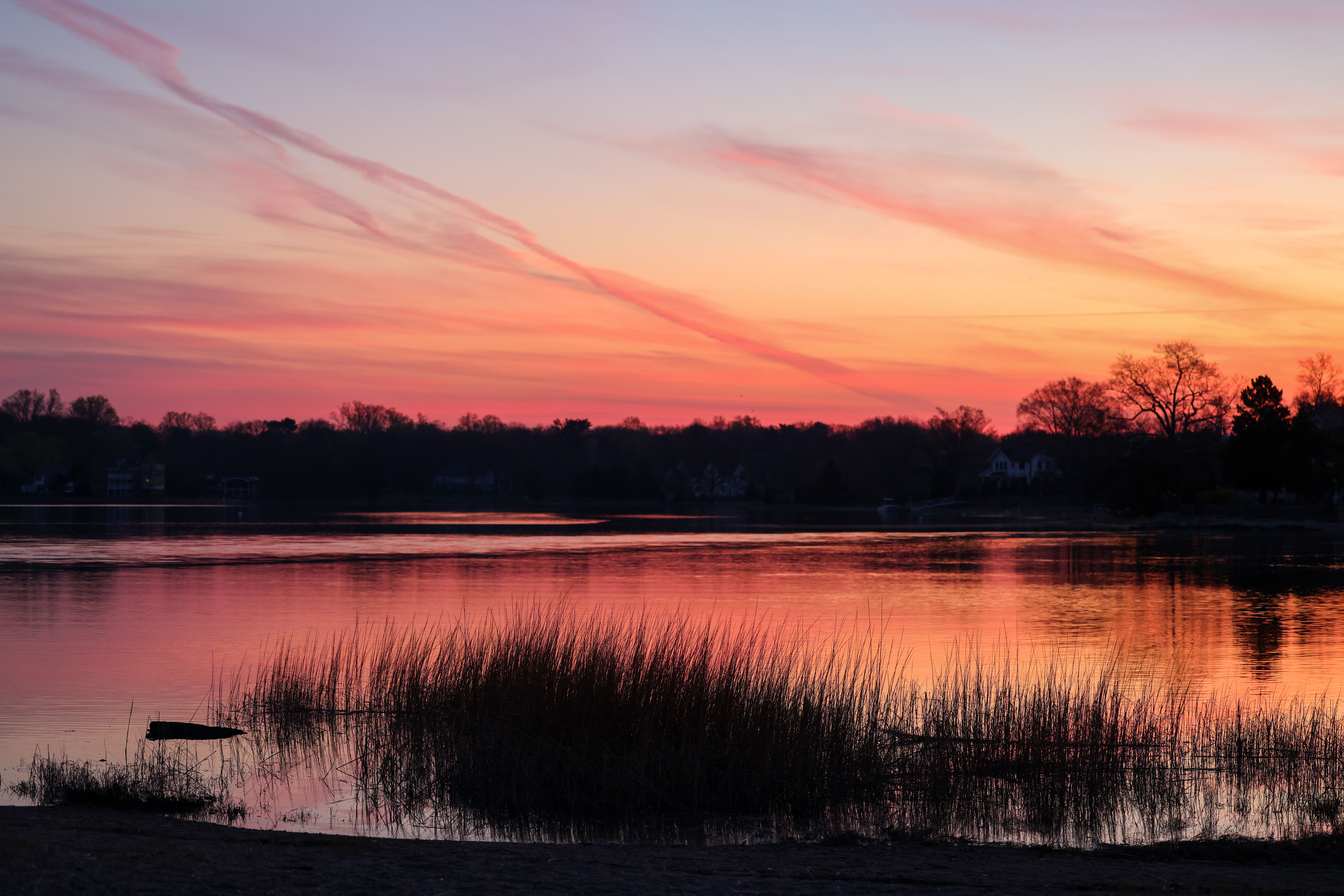 Trees by the Lake During Sunset · Free Stock Photo