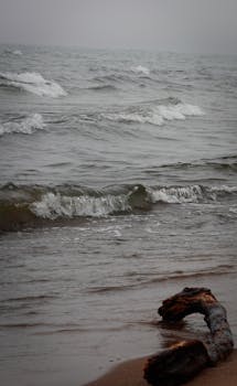 Cloudy beach scene with ocean waves and a driftwood log on sandy shore, emphasizing nature's moodiness.