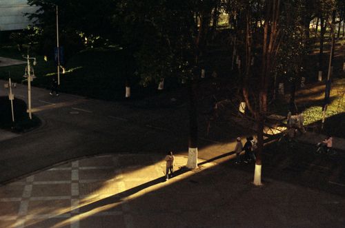 Free A high angle view of an urban street featuring shadows, walking people, and trees at dusk. Stock Photo