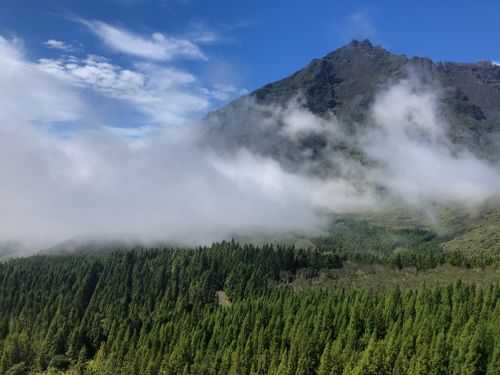 Free 🌲  Stock Photo