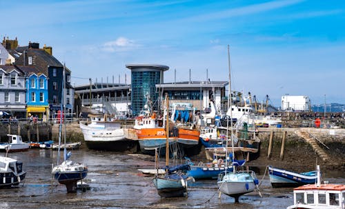 Boats in Harbor in Great Britain 