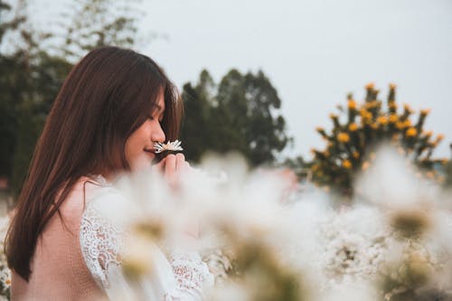 Free Woman Smelling Flower  Stock Photo