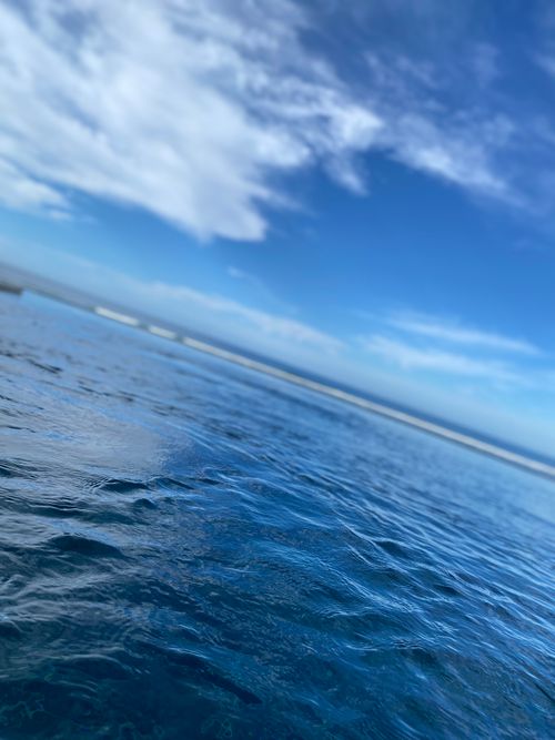Free Bleu Stock Photo