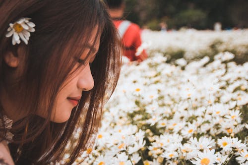 Woman Looking Down on White Daisy Flowers