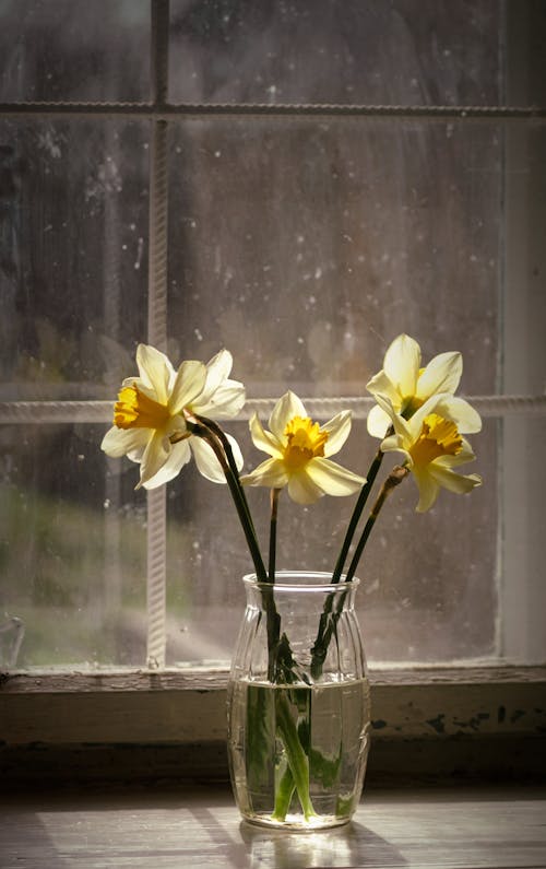 bitki örtüsü, buket, çiçek içeren Ücretsiz stok fotoğraf