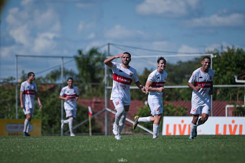 Gratis lagerfoto af fejre, fodbold, kamp