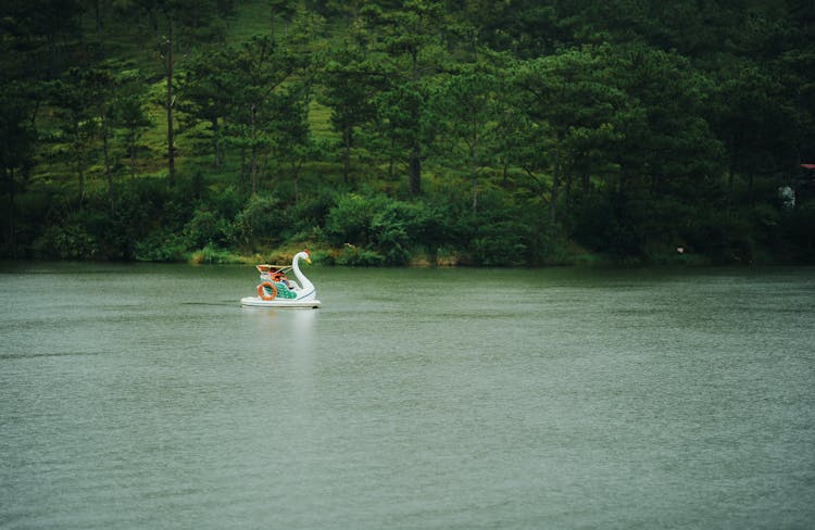 Person Riding On Swan Boat