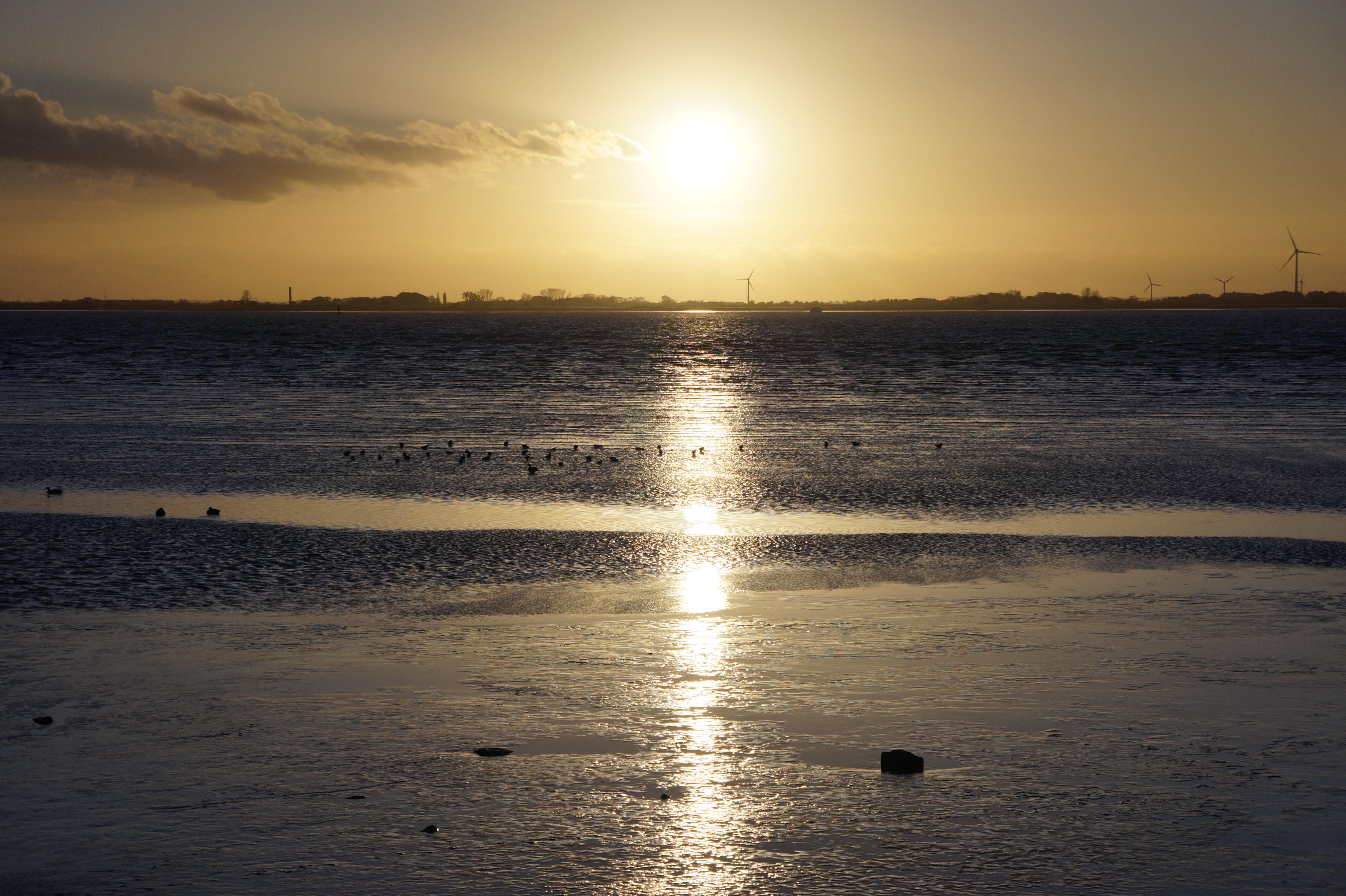 Glückstadt Elbe · Free Stock Photo