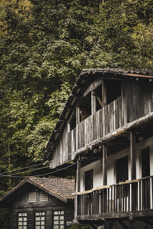 Immagine gratuita di alberi, balconi, casa