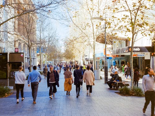 People walking down a city street with trees and buildings