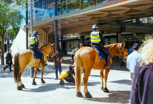 Free Two mounted police officers on patrol in a bustling urban street area. Stock Photo