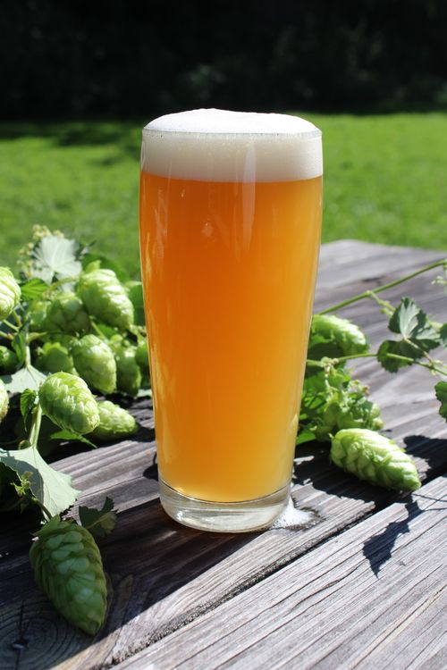 Hop Sonic Music Festival & Flea Market at Old Bust Head Brewing Company