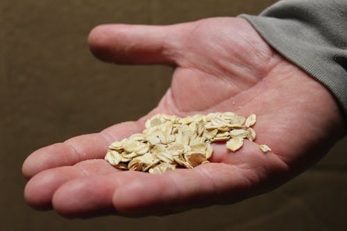 Dry Seeds on Man Hand