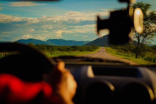 Road behind Car Windshield