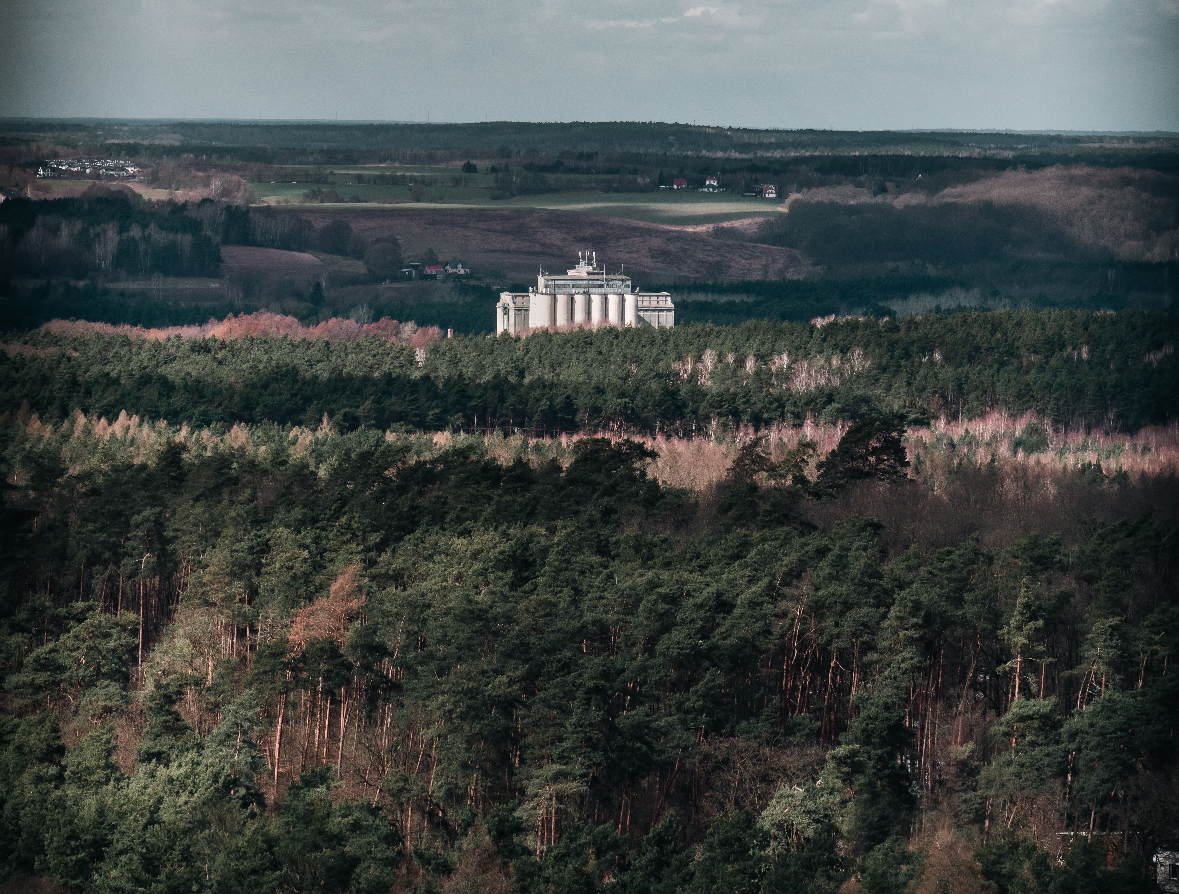 Aerial view of a forest with a building in Czerwonak, Poland, showcasing natural and rural landscape.