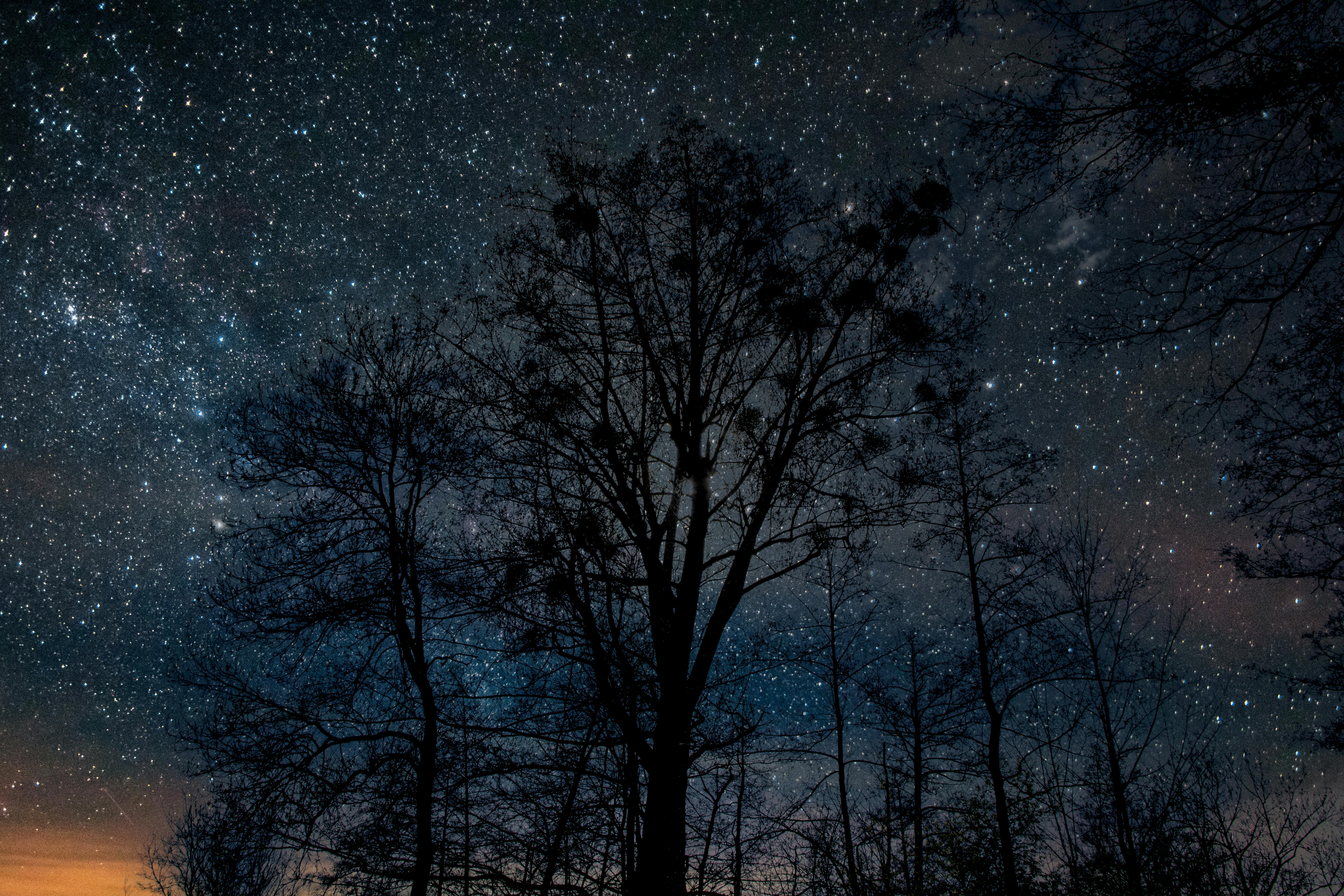 Grayscale Photo of a Road Under a Starry Sky · Free Stock Photo