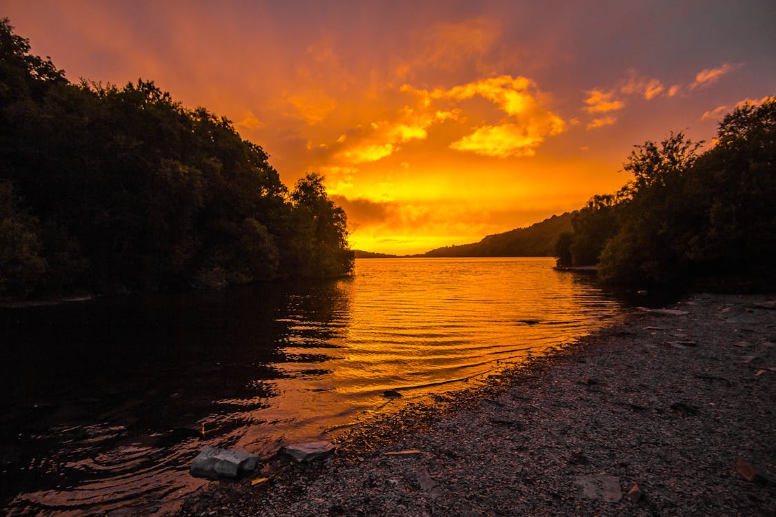 Gratis lagerfoto af aften, efterår, flod