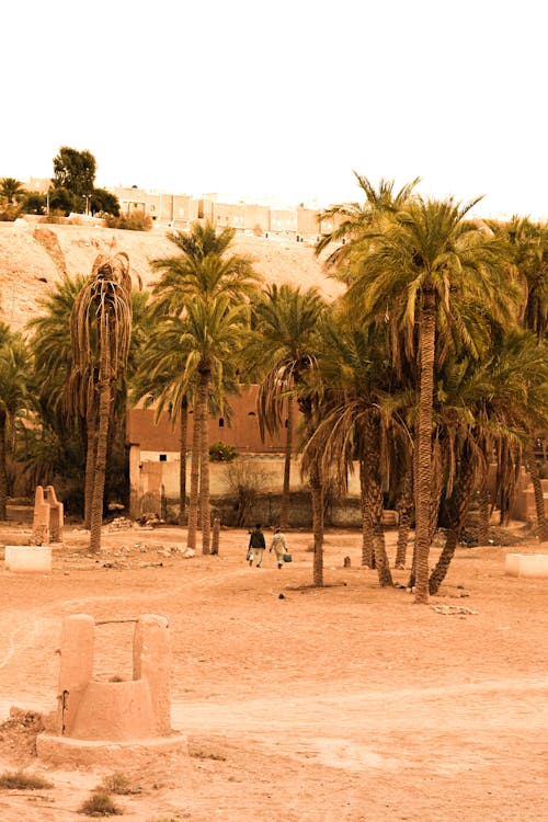 Foto d'estoc gratuïta de calor, ciutat, desert