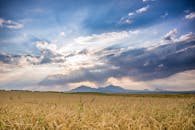 充满活力的麦田、戏剧性的天空与山景，捕捉了乡村的宁静