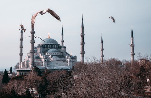 Imagine de stoc gratuită din arhitectură otomană, curcan, Islam