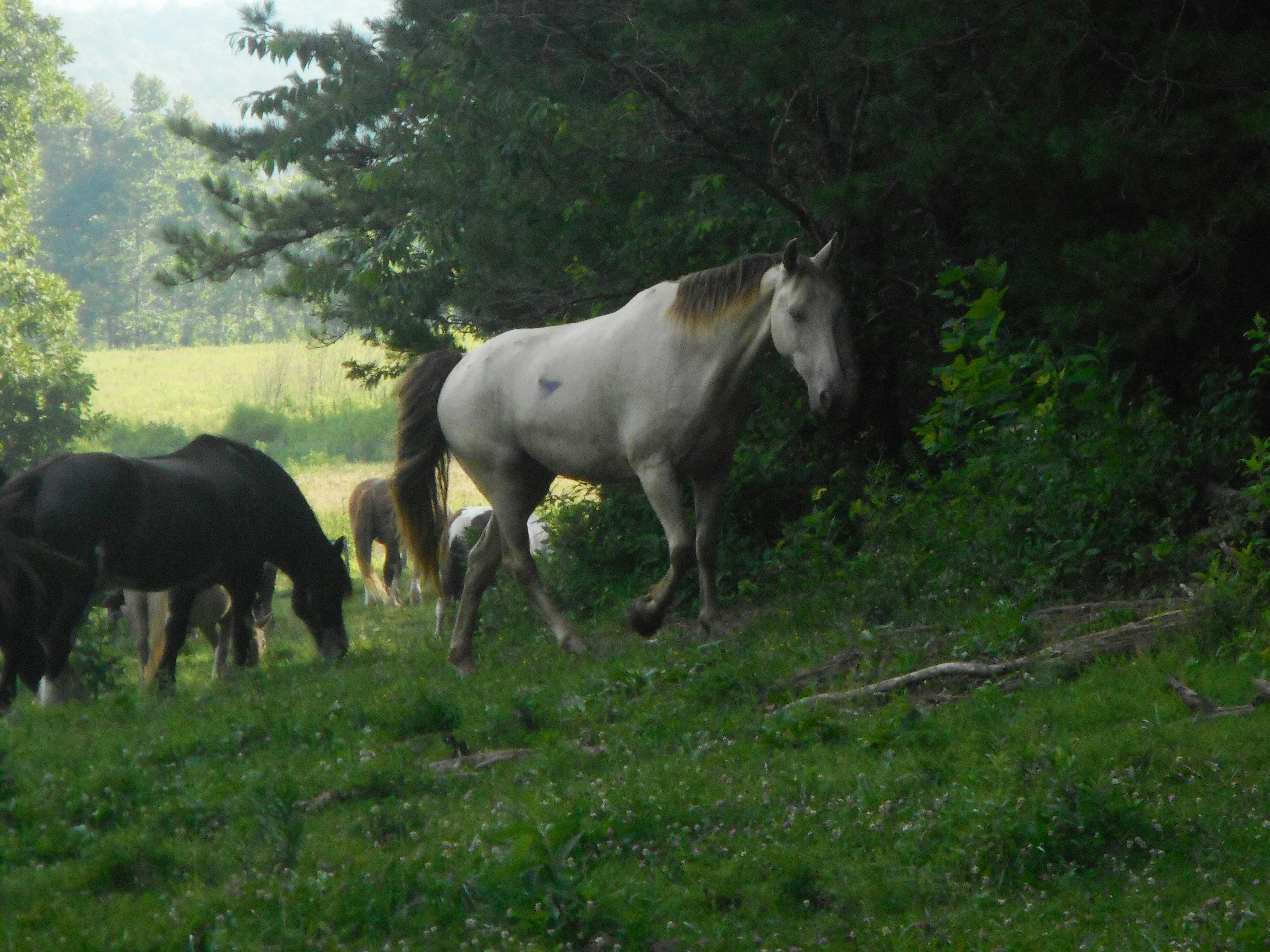 A person using a phone
