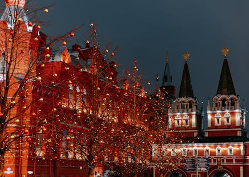 Decorated Trees for Christmas in City at Night