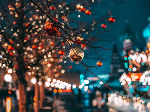 Christmas Balls on Trees at Night