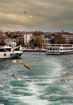 Ferries navigate Istanbul's coastline amidst seagulls under an overcast sky.