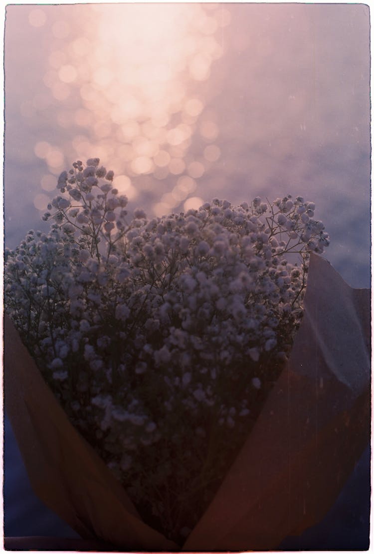 Close-up Of Wildflowers Bouquet In Nature