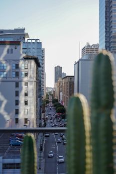 View of a bustling Los Angeles street from a rooftop with cactus plants in the foreground.